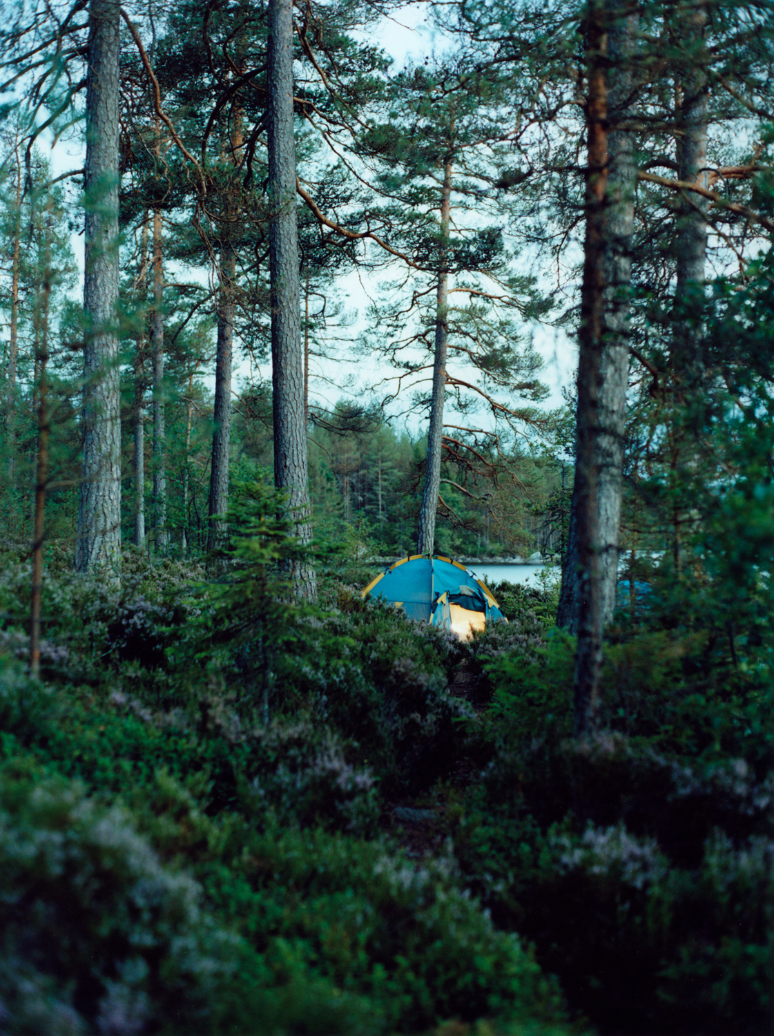 Reisereportage Schweden