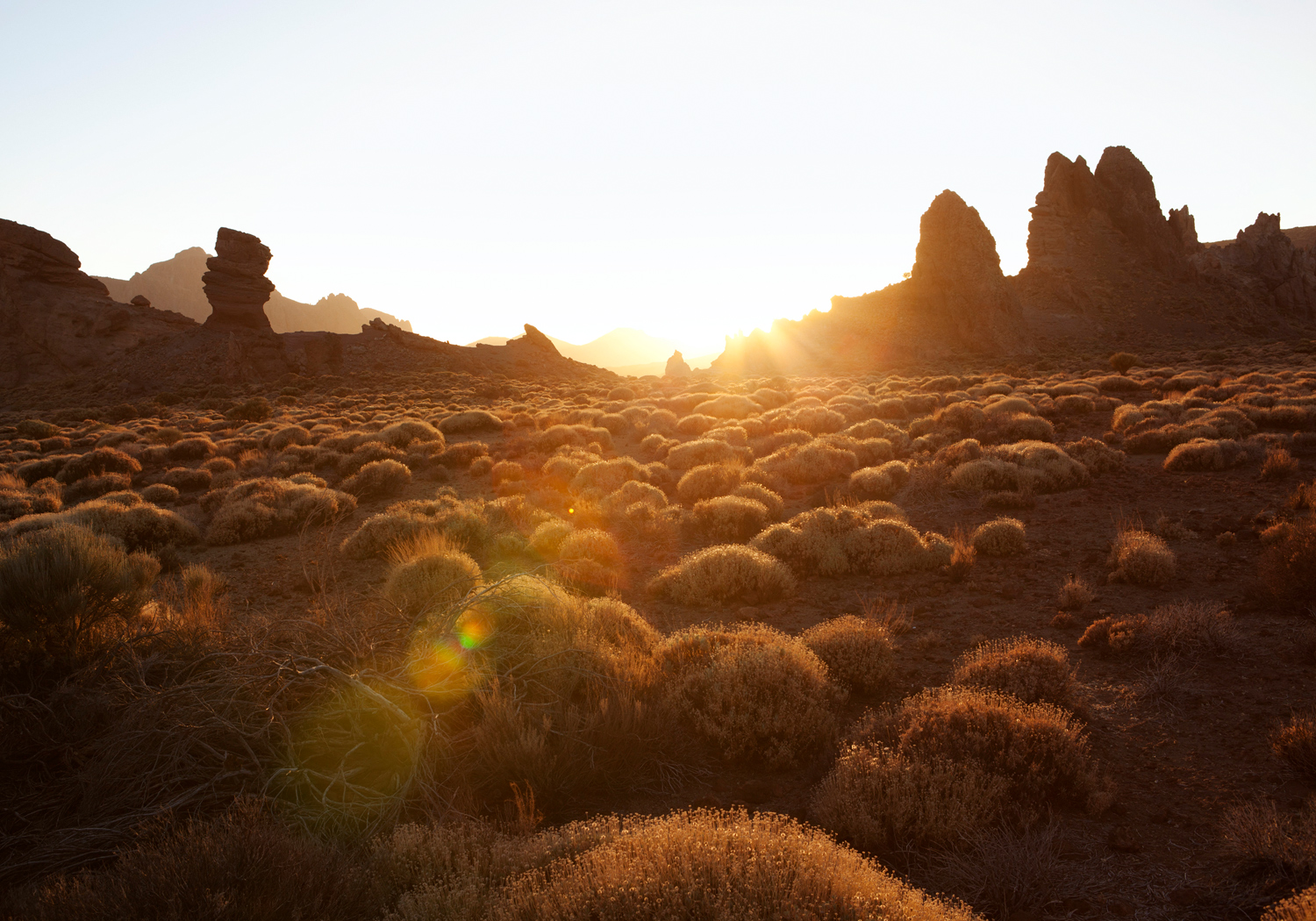 Reisereportage Teneriffa